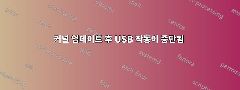 커널 업데이트 후 USB 작동이 중단됨