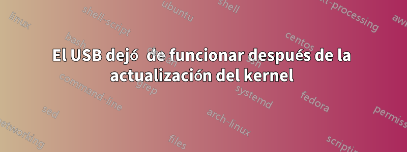 El USB dejó de funcionar después de la actualización del kernel