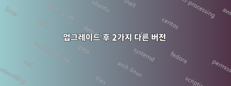 업그레이드 후 2가지 다른 버전