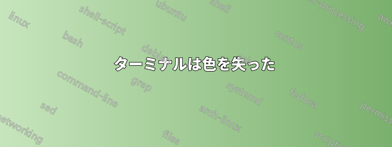 ターミナルは色を失った