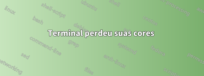 Terminal perdeu suas cores