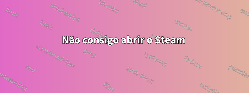 Não consigo abrir o Steam