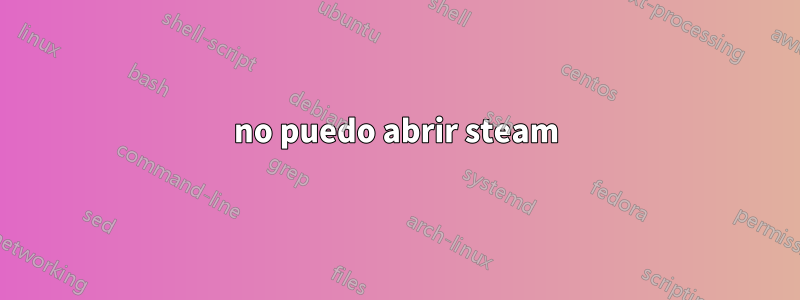 no puedo abrir steam