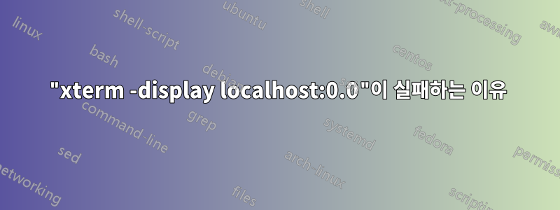 "xterm -display localhost:0.0"이 실패하는 이유