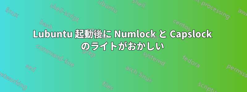 Lubuntu 起動後に Numlock と Capslock のライトがおかしい