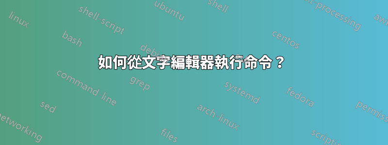 如何從文字編輯器執行命令？