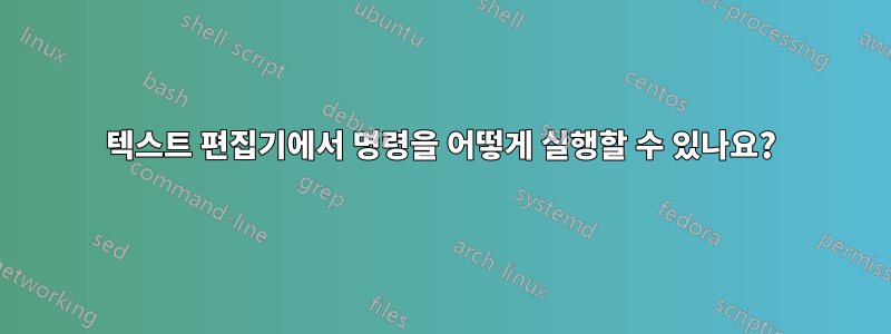 텍스트 편집기에서 명령을 어떻게 실행할 수 있나요?