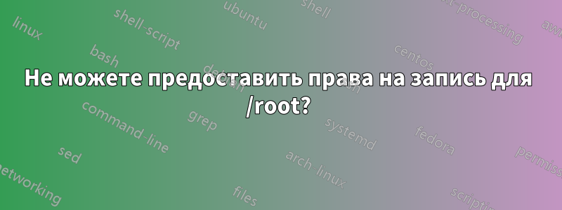 Не можете предоставить права на запись для /root?