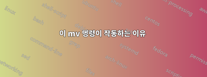 이 mv 명령이 작동하는 이유