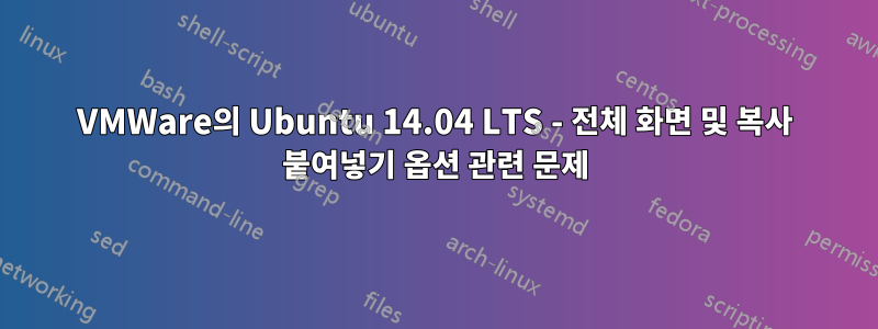 VMWare의 Ubuntu 14.04 LTS - 전체 화면 및 복사 붙여넣기 옵션 관련 문제