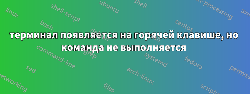 терминал появляется на горячей клавише, но команда не выполняется