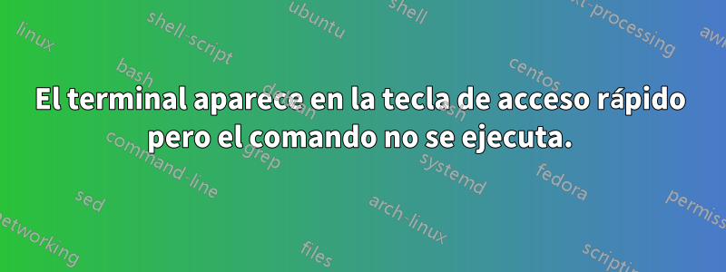 El terminal aparece en la tecla de acceso rápido pero el comando no se ejecuta.