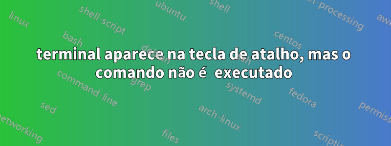 terminal aparece na tecla de atalho, mas o comando não é executado