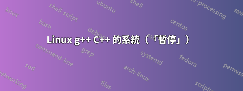 Linux g++ C++ 的系統（「暫停」）
