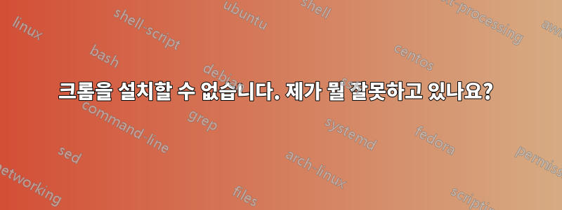 크롬을 설치할 수 없습니다. 제가 뭘 잘못하고 있나요? 