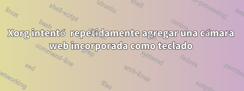 Xorg intentó repetidamente agregar una cámara web incorporada como teclado