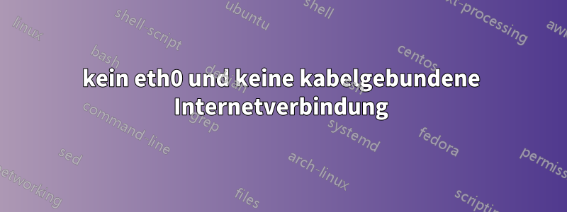 kein eth0 und keine kabelgebundene Internetverbindung
