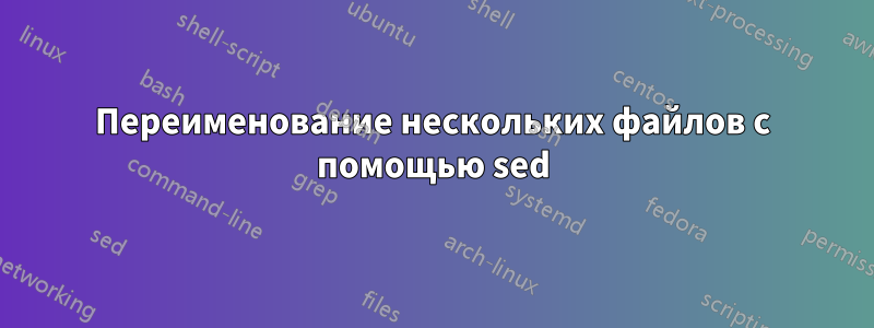 Переименование нескольких файлов с помощью sed