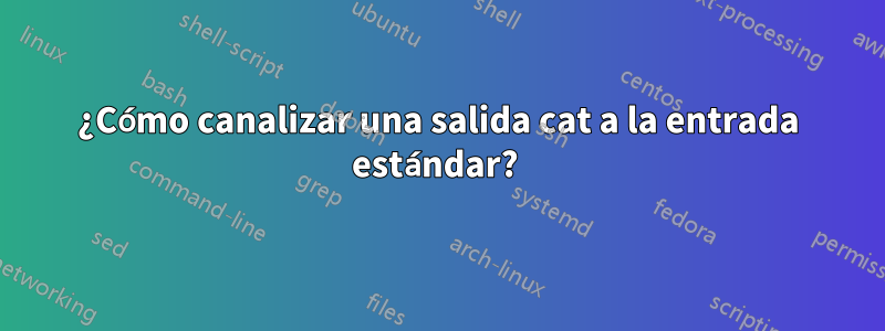 ¿Cómo canalizar una salida cat a la entrada estándar? 