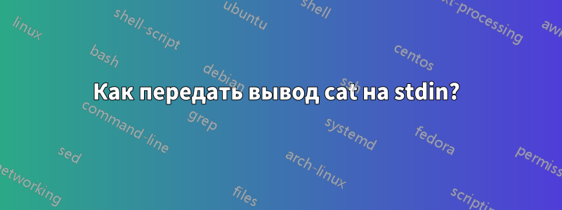 Как передать вывод cat на stdin? 