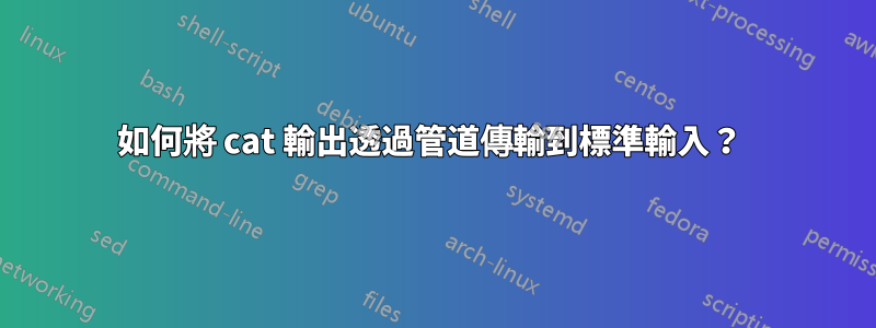 如何將 cat 輸出透過管道傳輸到標準輸入？ 