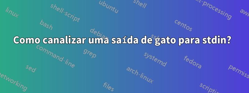 Como canalizar uma saída de gato para stdin? 