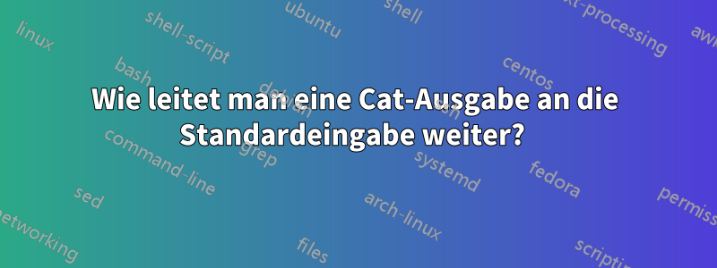 Wie leitet man eine Cat-Ausgabe an die Standardeingabe weiter? 