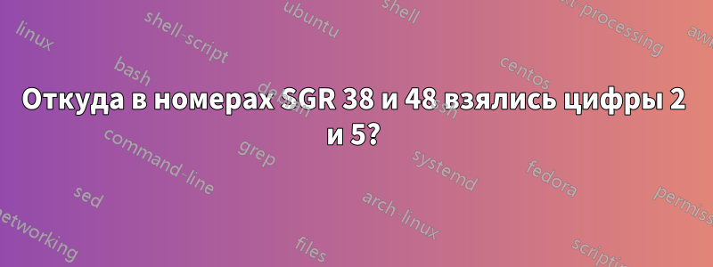 Откуда в номерах SGR 38 и 48 взялись цифры 2 и 5?