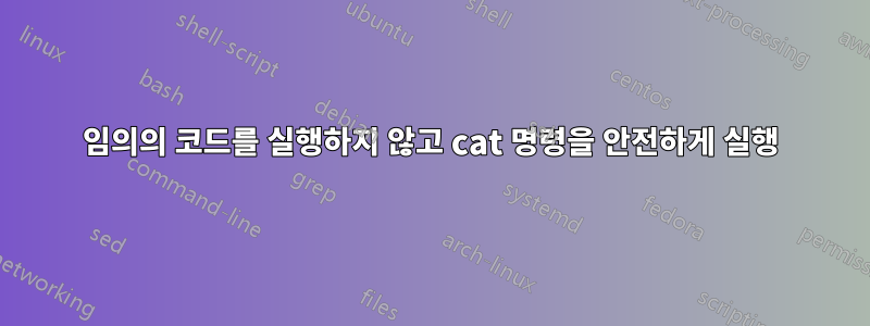 임의의 코드를 실행하지 않고 cat 명령을 안전하게 실행