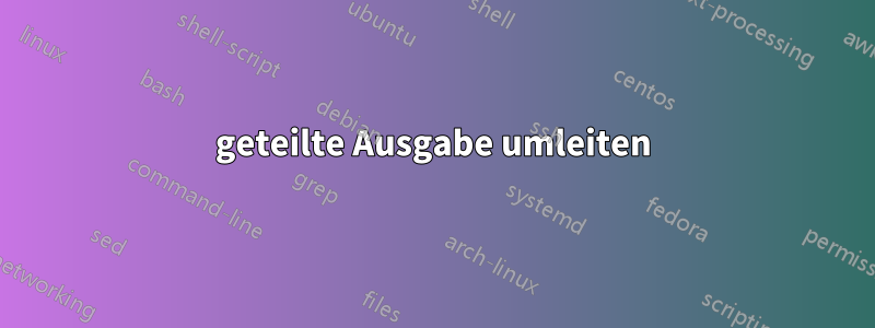 geteilte Ausgabe umleiten