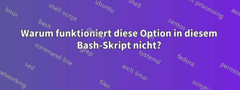 Warum funktioniert diese Option in diesem Bash-Skript nicht?