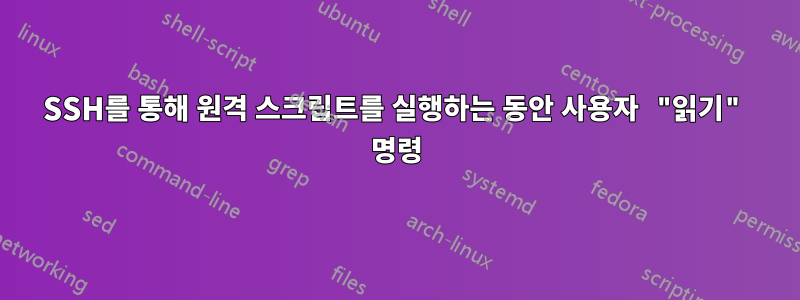 SSH를 통해 원격 스크립트를 실행하는 동안 사용자 "읽기" 명령