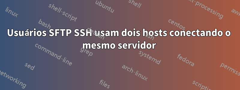 Usuários SFTP SSH usam dois hosts conectando o mesmo servidor