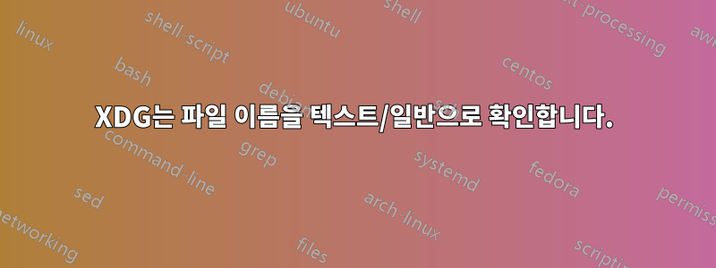 XDG는 파일 이름을 텍스트/일반으로 확인합니다.