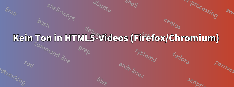 Kein Ton in HTML5-Videos (Firefox/Chromium)