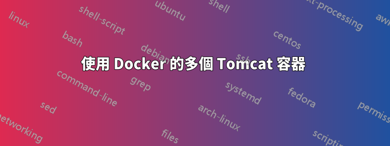 使用 Docker 的多個 Tomcat 容器