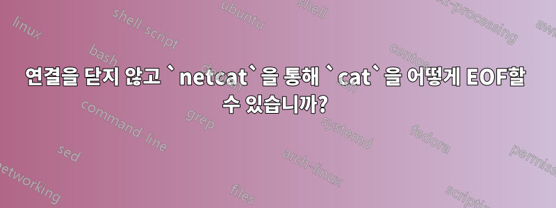 연결을 닫지 않고 `netcat`을 통해 `cat`을 어떻게 EOF할 수 있습니까?