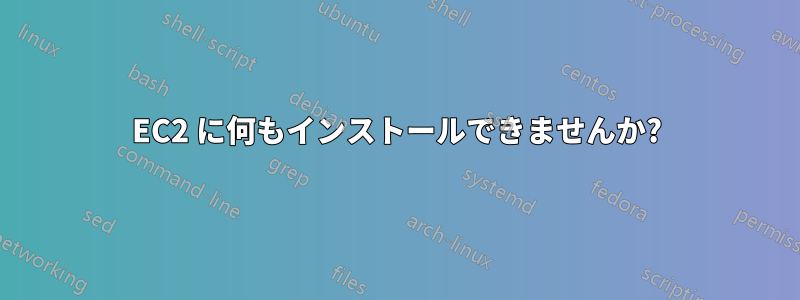 EC2 に何もインストールできませんか?