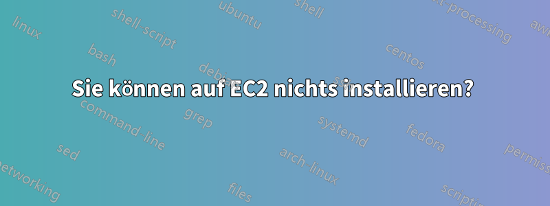 Sie können auf EC2 nichts installieren?