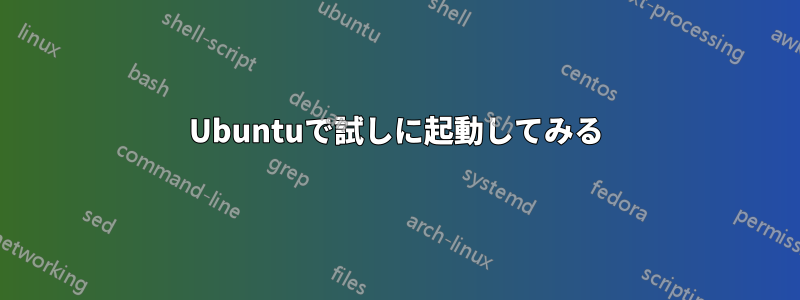 Ubuntuで試しに起動してみる
