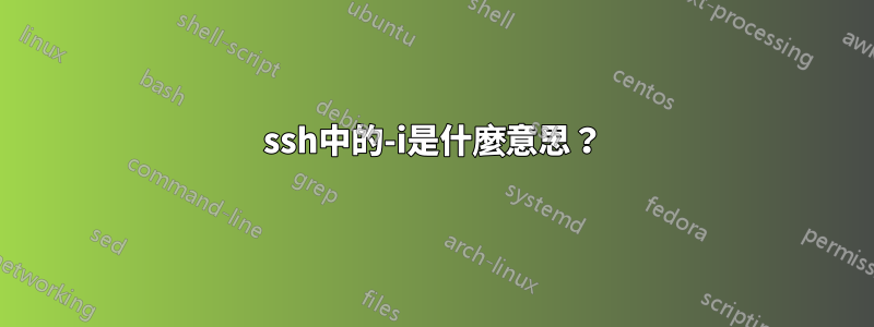 ssh中的-i是什麼意思？