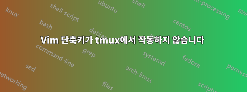 Vim 단축키가 tmux에서 작동하지 않습니다
