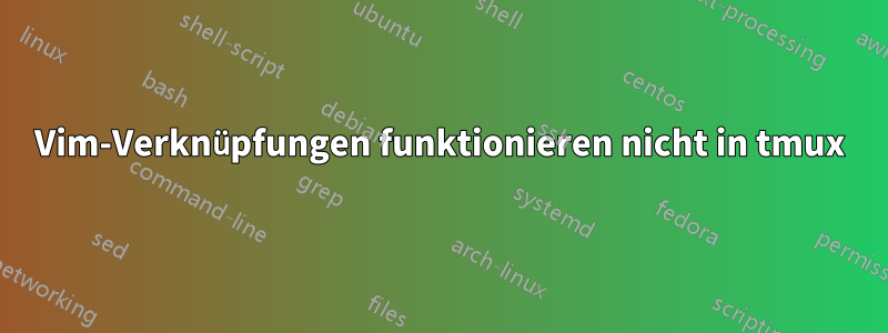 Vim-Verknüpfungen funktionieren nicht in tmux
