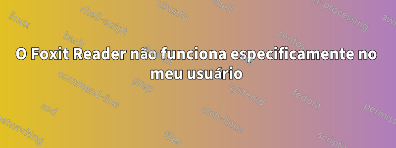 O Foxit Reader não funciona especificamente no meu usuário