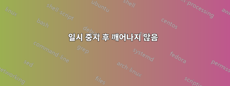 일시 중지 후 깨어나지 않음 
