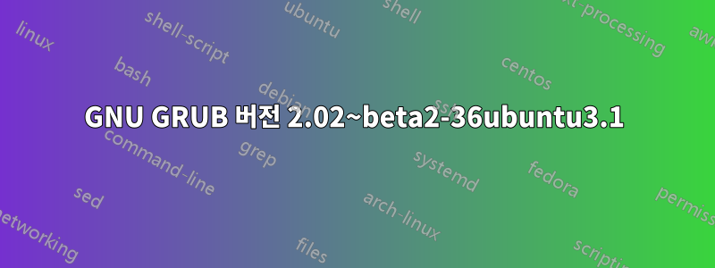 GNU GRUB 버전 2.02~beta2-36ubuntu3.1