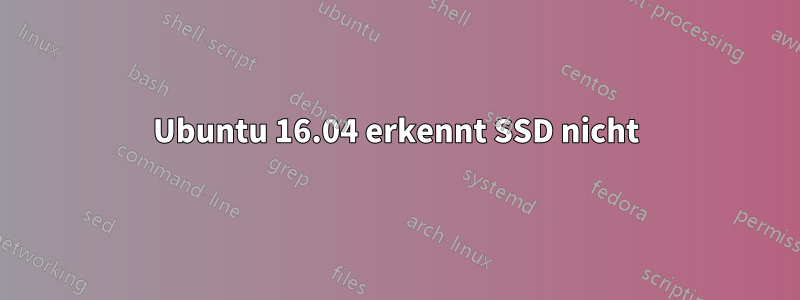 Ubuntu 16.04 erkennt SSD nicht