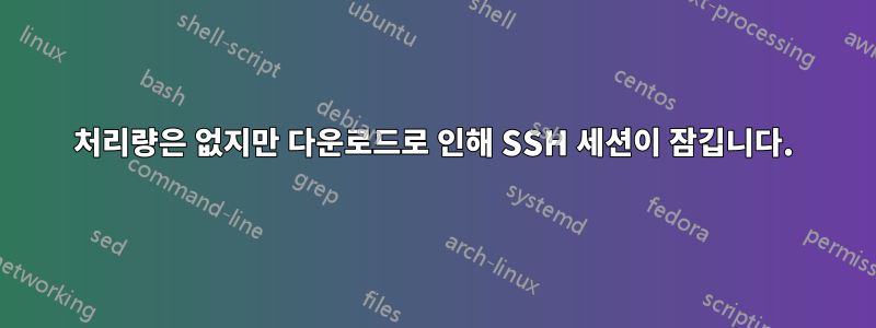 처리량은 없지만 다운로드로 인해 SSH 세션이 잠깁니다.