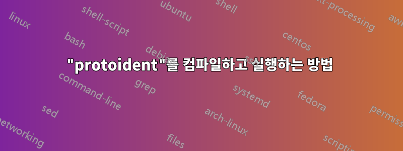 "protoident"를 컴파일하고 실행하는 방법