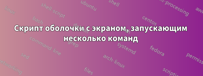 Скрипт оболочки с экраном, запускающим несколько команд